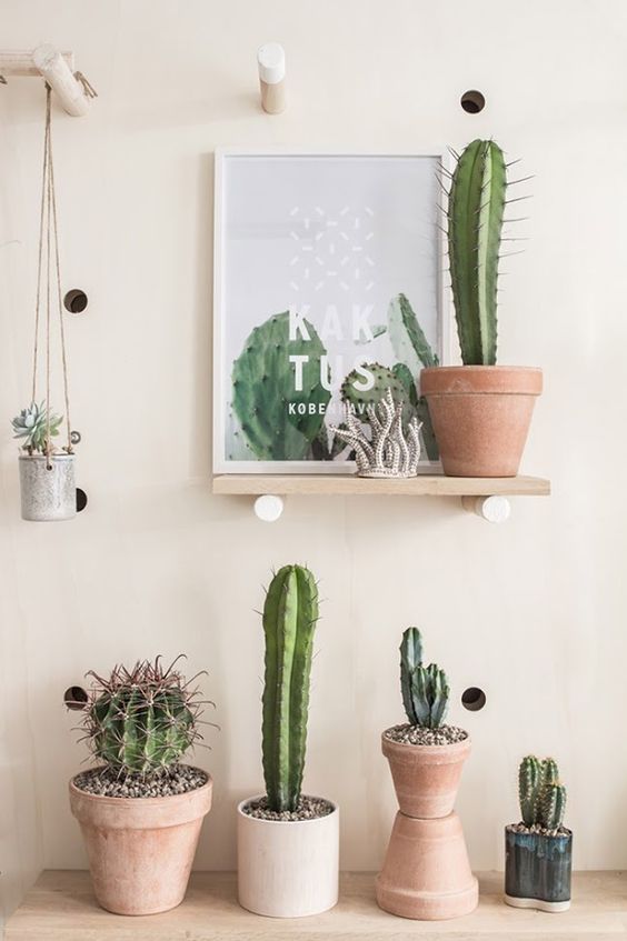 decoración tendencia cactus